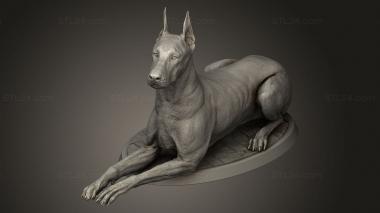 Animal figurines (Sisters the Dawn cross Doberman lay, STKJ_5164) 3D models for cnc