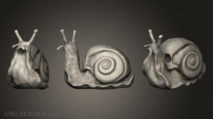 Animal figurines (skull snail  Si Ki Caracol, STKJ_5178) 3D models for cnc