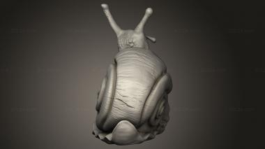 Animal figurines (skull snail  Si Ki Caracol, STKJ_5178) 3D models for cnc