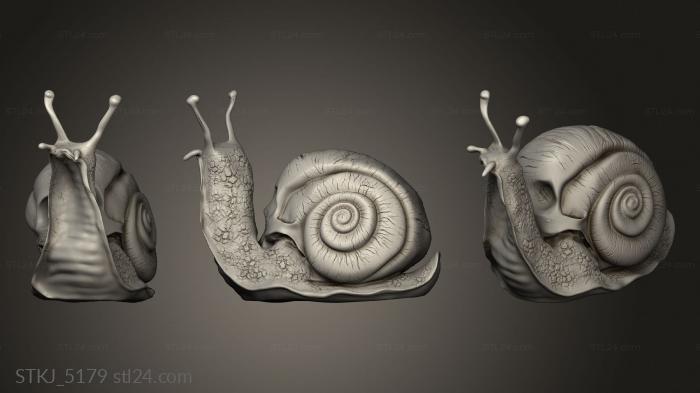 Animal figurines (skull snail eff Si Ki Caracol, STKJ_5179) 3D models for cnc