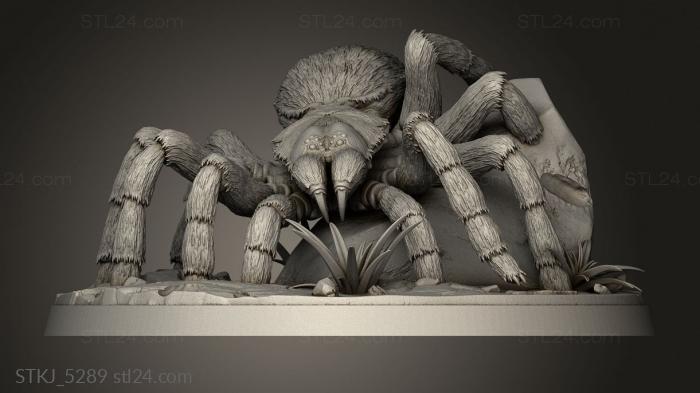 Tarantula