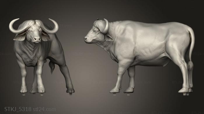 Animal figurines (The Savannah Tabiri Water Buffalo Mount bare, STKJ_5318) 3D models for cnc