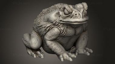 Animal figurines (Through Toads Toad, STKJ_5351) 3D models for cnc