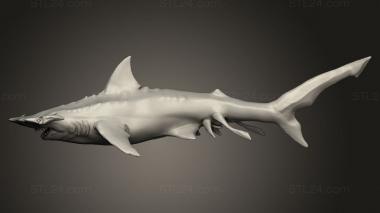 Animal figurines (Hammer Shark, STKJ_5444) 3D models for cnc