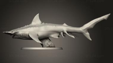 Animal figurines (Hammer Shark, STKJ_5445) 3D models for cnc