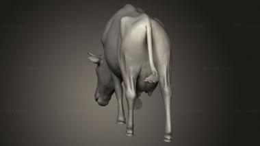 Animal figurines (Village Animal Cow Eating, STKJ_5469) 3D models for cnc