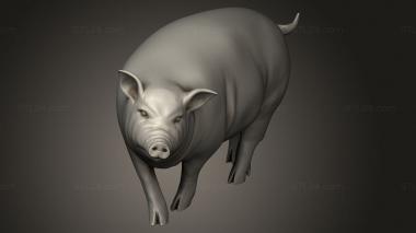 Animal figurines (Village Animal Pig, STKJ_5474) 3D models for cnc