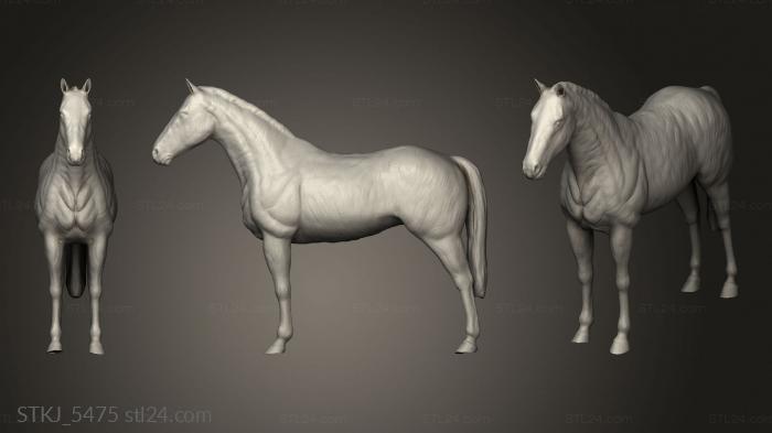 Animal figurines (Village Barn Horse, STKJ_5475) 3D models for cnc