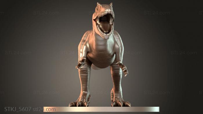 STKJ_5607