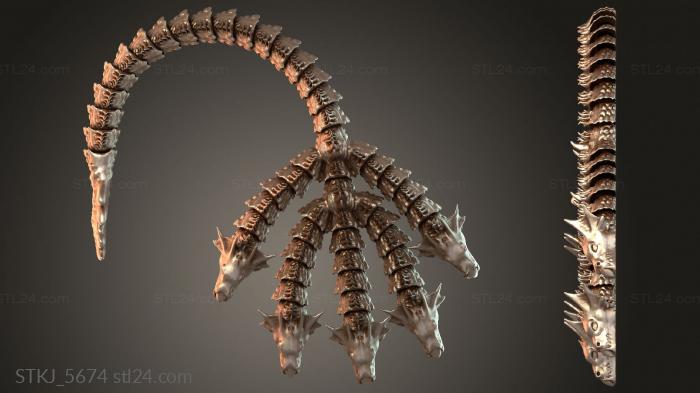 STKJ_5674