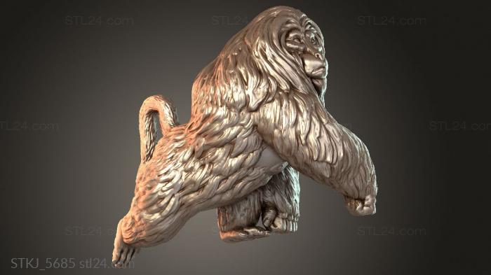 STKJ_5685
