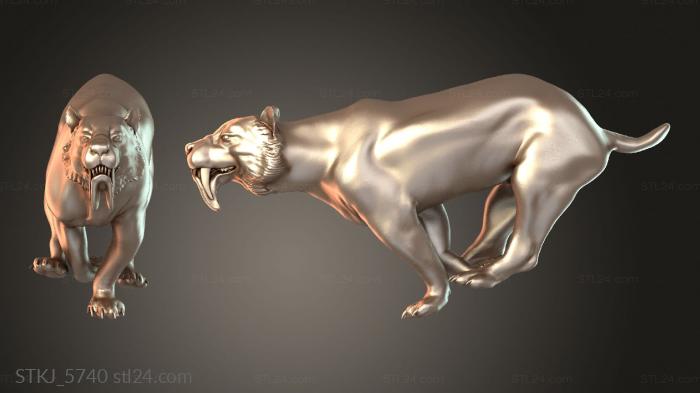 STKJ_5740