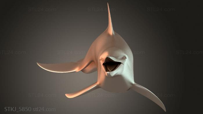 STKJ_5850