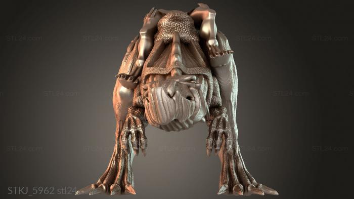 STKJ_5962