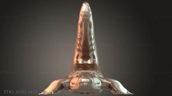 STKJ_6045