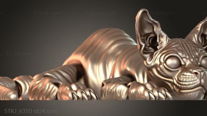 STKJ_6310