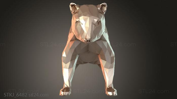 STKJ_6482