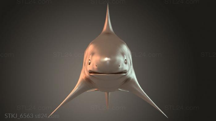STKJ_6563