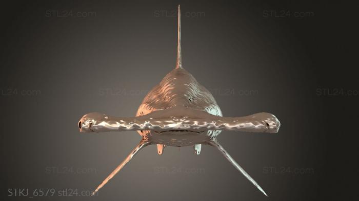 STKJ_6579