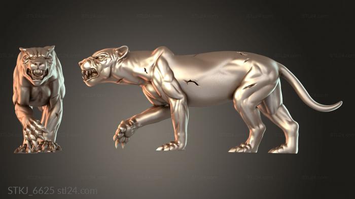 STKJ_6625