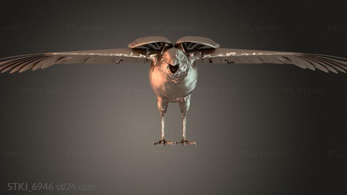 STKJ_6946