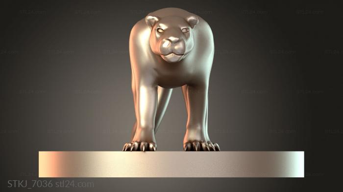 STKJ_7036