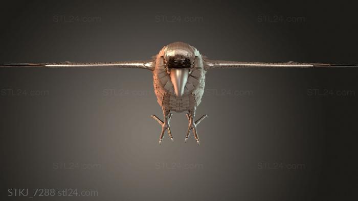 STKJ_7288