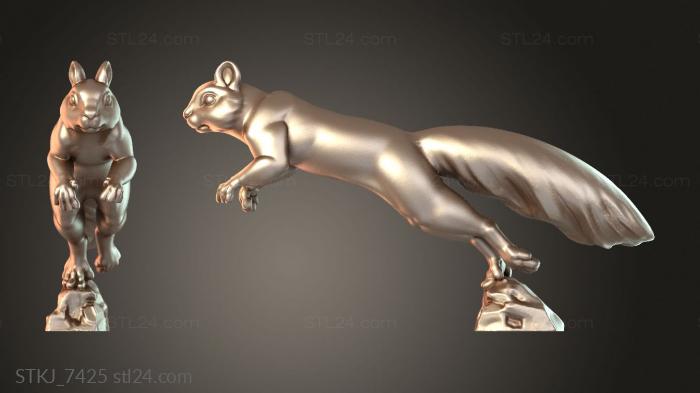 STKJ_7425