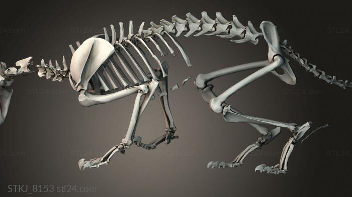 Статуэтки животных (STKJ_8153) 3D модель для ЧПУ станка