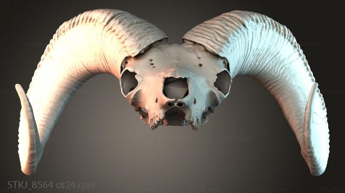 Статуэтки животных (STKJ_8564) 3D модель для ЧПУ станка