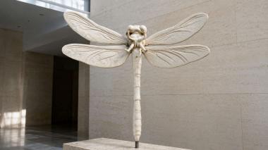Animal figurines Dragonfly 3D model 3d model
