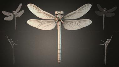 Animal figurines (Dragonfly 3D model, STKJI_000410) 3D models for cnc