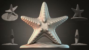 Animal figurines (Starfish on a stand, STKJI_000430) 3D models for cnc