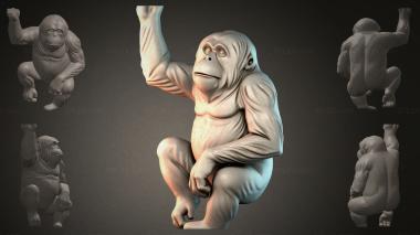 Animal figurines (Chimpanzee figurine, STKJI_000434) 3D models for cnc
