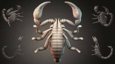 Animal figurines (3D model of a scorpion, STKJI_000872) 3D models for cnc