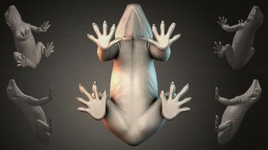 Animal figurines Frog with open legs 3d model