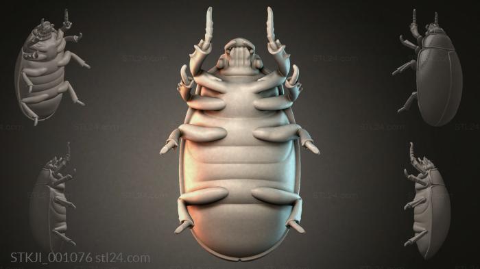 STKJI_001076 3d STL model