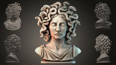 Animal figurines Bust of Medusa the Gorgon 3d model
