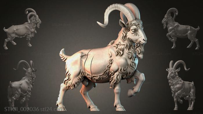 STKJI_002036 3d STL model