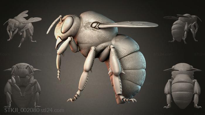 STKJI_002080 3d STL model