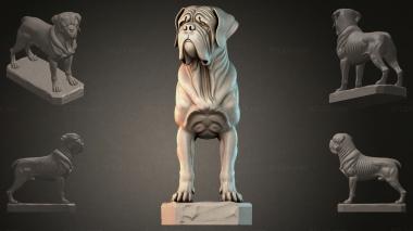 Фигурки животных (Набор STL моделей собак разных пород в стойке, STKJI_004510) 3D модель для ЧПУ станка