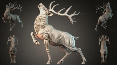 Animal figurines STKJI_005151 3d model