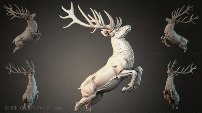 STKJI_005757 3d STL model
