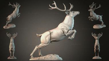 Animal figurines STKJI_005785 3d model