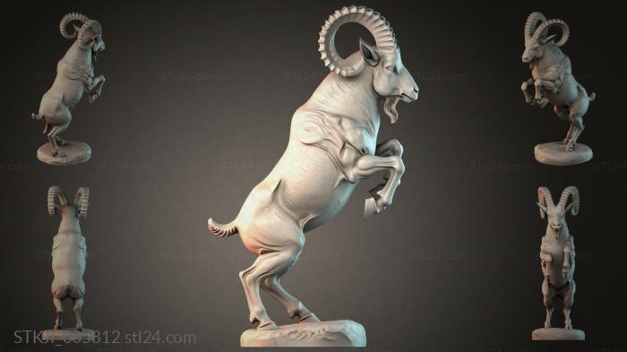 STKJI_005812 3d STL model