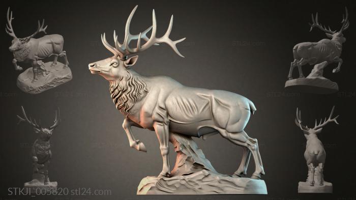 STKJI_005820 3d STL model