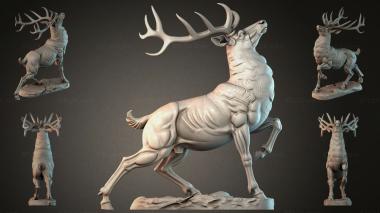 Animal figurines STKJI_006227 3d model