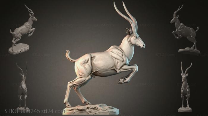 STKJI_006245 3d STL model