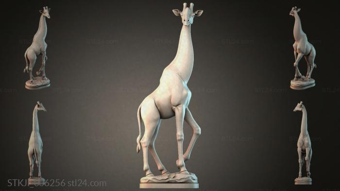 STKJI_006256 3d STL model
