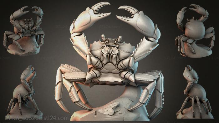 STKJI_006288 3d STL model